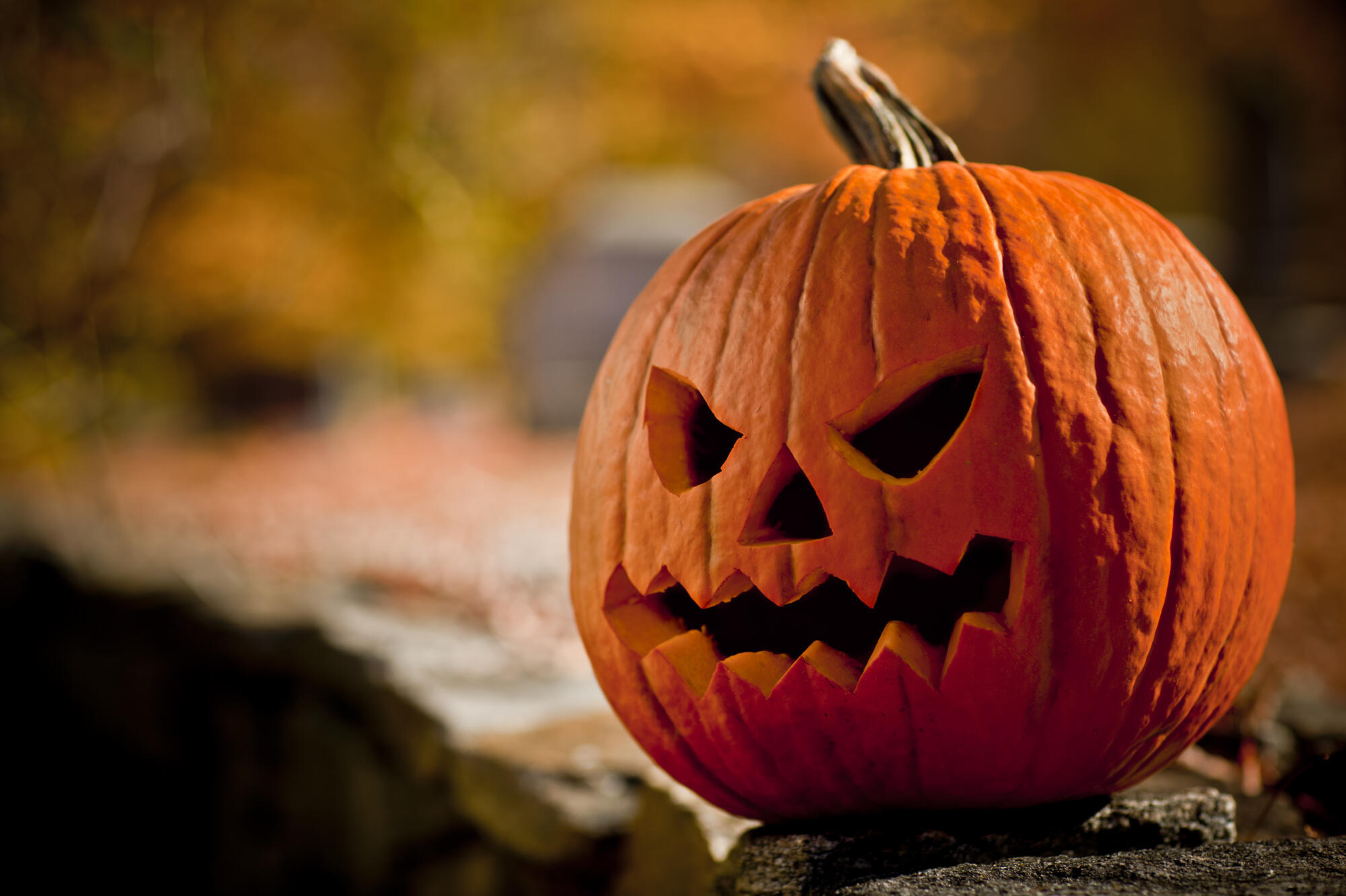 Fun Halloween Activities for Seniors in Independence